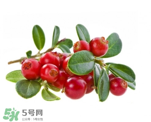 蔓越莓在中國有嗎？蔓越莓怎么辨別真假