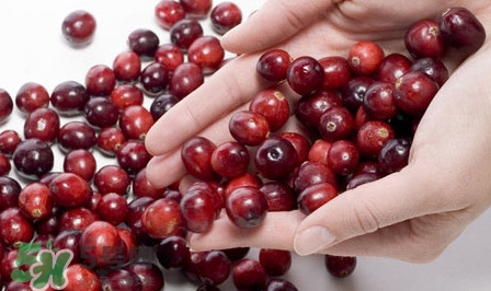 蔓越莓什么人不能吃？蔓越莓干和藍(lán)梅干孕婦吃哪個(gè)好