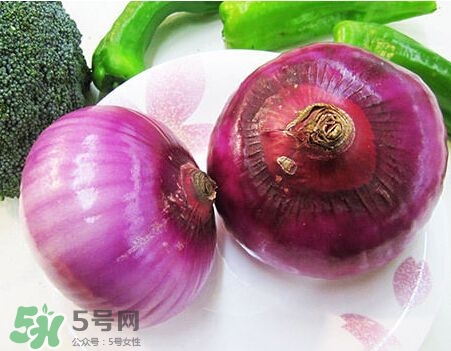 洋蔥狗狗能吃嗎？狗狗吃了洋蔥怎么辦？