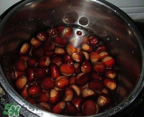 煮板栗要切口嗎？煮板栗怎么切口？