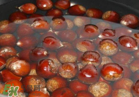 板栗用冷水還是熱水煮？煮板栗用冷水還是熱水？