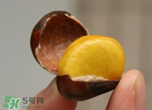 板栗用冷水還是熱水煮？煮板栗用冷水還是熱水？