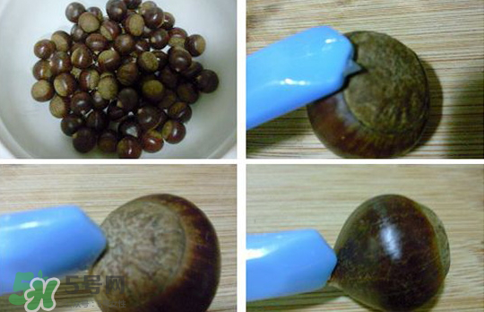 煮板栗要切口嗎？煮板栗怎么切口？