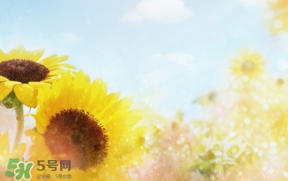 見封滾是什么意思？