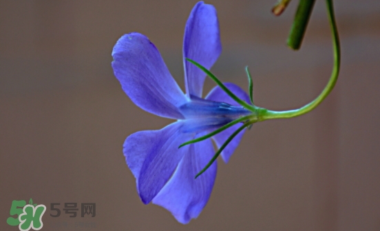 見封滾是什么意思？