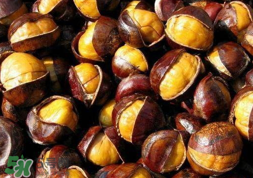 板栗蒸多久才熟？蒸板栗怎么好剝皮？