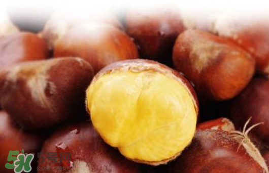 板栗蒸還是煮？蒸板栗好吃還是板栗好吃？