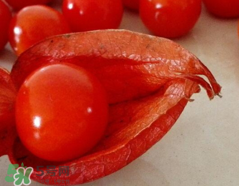 紅姑娘皮泡水治咽炎嗎？紅姑娘皮泡水的副作用