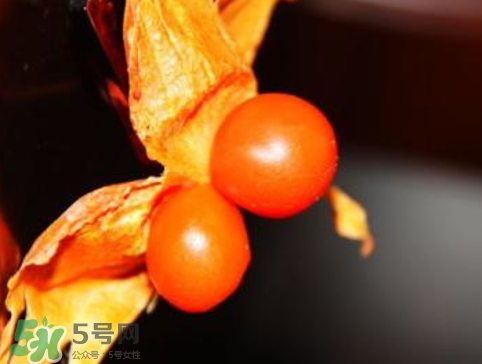 紅姑娘皮泡水治咽炎嗎？紅姑娘皮泡水的副作用