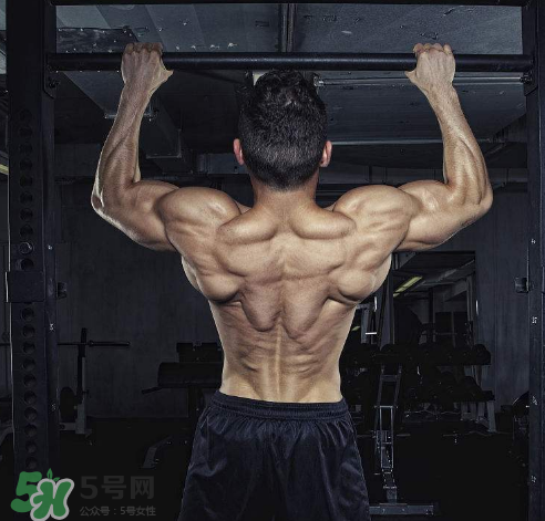 引體向上背部怎么發(fā)力？引體向上發(fā)力技巧