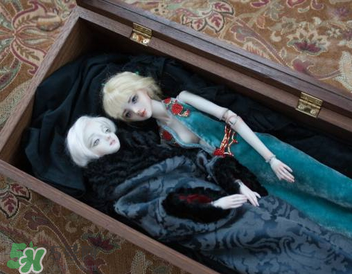 Enchanted Doll多少錢？Enchanted Doll哪里買？