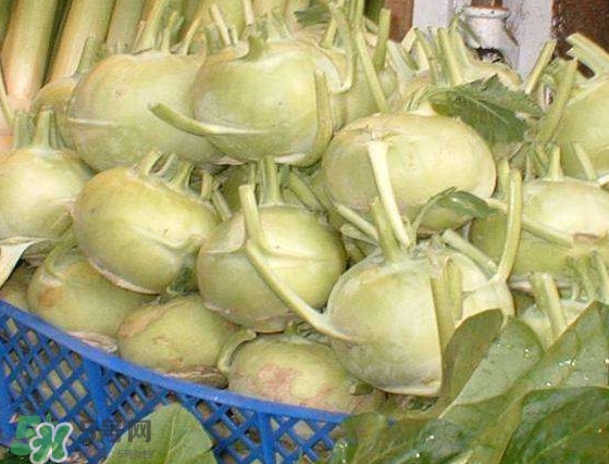 苤藍怎么腌制好吃？苤藍有什么營養(yǎng)