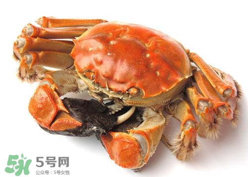 螃蟹里面有寄生蟲(chóng)嗎？螃蟹有寄生蟲(chóng)還可以吃嗎？