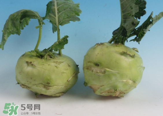 苤藍怎么讀？苤藍孕婦可以吃嗎