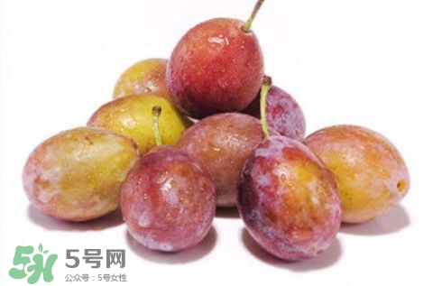 西梅可以放冰箱嗎？西梅放冰箱冷藏還是冷凍？