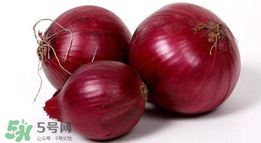 洋蔥狗狗能吃嗎？狗狗吃了洋蔥怎么辦？