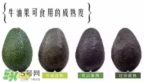 牛油果是什么味道？牛油果是甜的嗎？