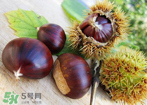 泡板栗酒用什么酒最好？板栗用什么酒泡最好？