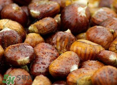 板栗泡酒真的能壯陽嗎？板栗泡酒有什么功效？