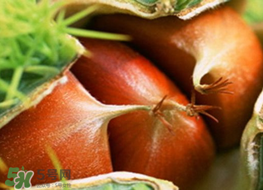 板栗泡酒要去皮嗎？板栗泡酒不去皮可以嗎？