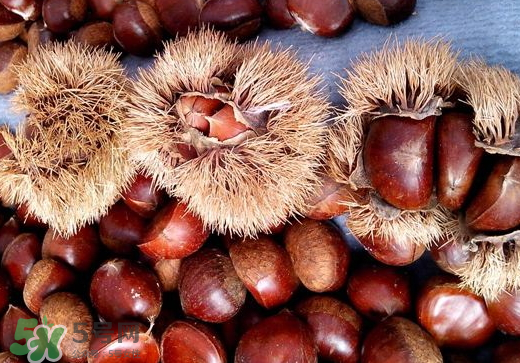 板栗泡酒要去皮嗎？板栗泡酒不去皮可以嗎？