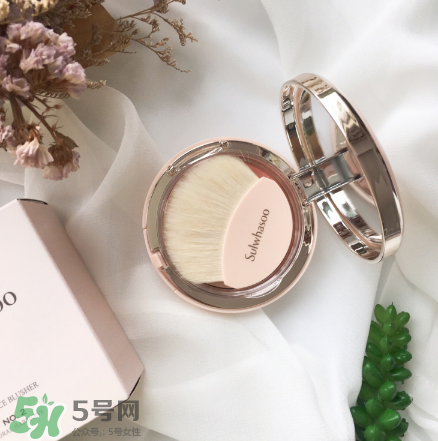 雪花秀腮紅怎么樣？雪花秀腮紅評(píng)測(cè)