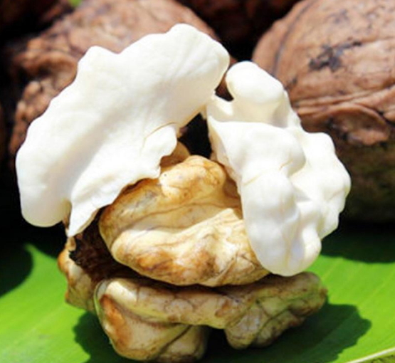 濕核桃孕婦可以吃嗎？孕婦吃新鮮濕核桃還是干核桃好？