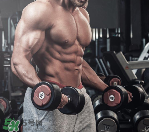 肌酸能空腹喝嗎？肌酸可以天天吃嗎？