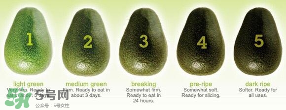 牛油果隔夜了還能吃嗎？牛油果可以冷凍保存嗎？