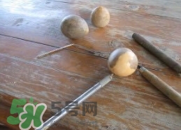 牛油果核能吃嗎？牛油果核怎么種盆栽？