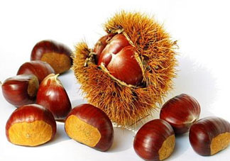 板栗為什么容易生蟲(chóng)？板栗長(zhǎng)蟲(chóng)怎么辦？