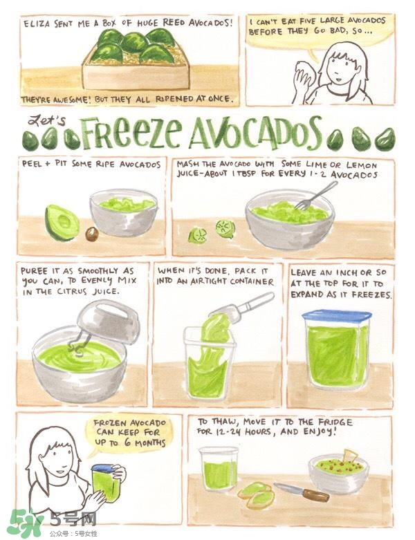 牛油果隔夜了還能吃嗎？牛油果可以冷凍保存嗎？