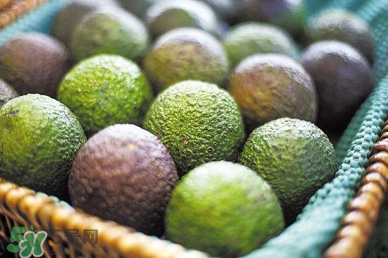 牛油果是熱性還是寒性？牛油果是酸性還是堿性？