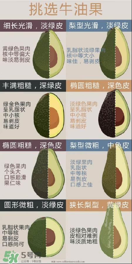 牛油果怎么挑選？牛油果多少錢一斤？