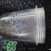 核桃粉怎么做？核桃粉的功效與作用