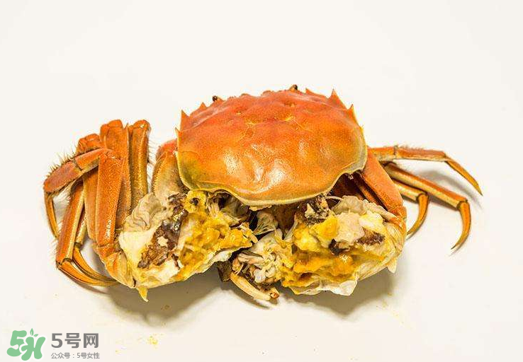 哪種螃蟹有蟹黃？哪種螃蟹蟹黃最多？