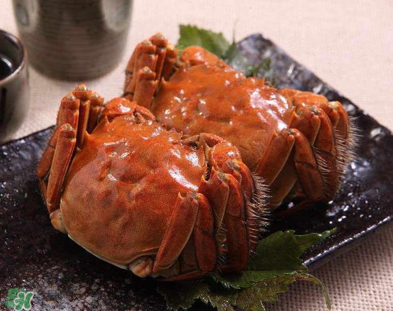 哪種螃蟹有蟹黃？哪種螃蟹蟹黃最多？