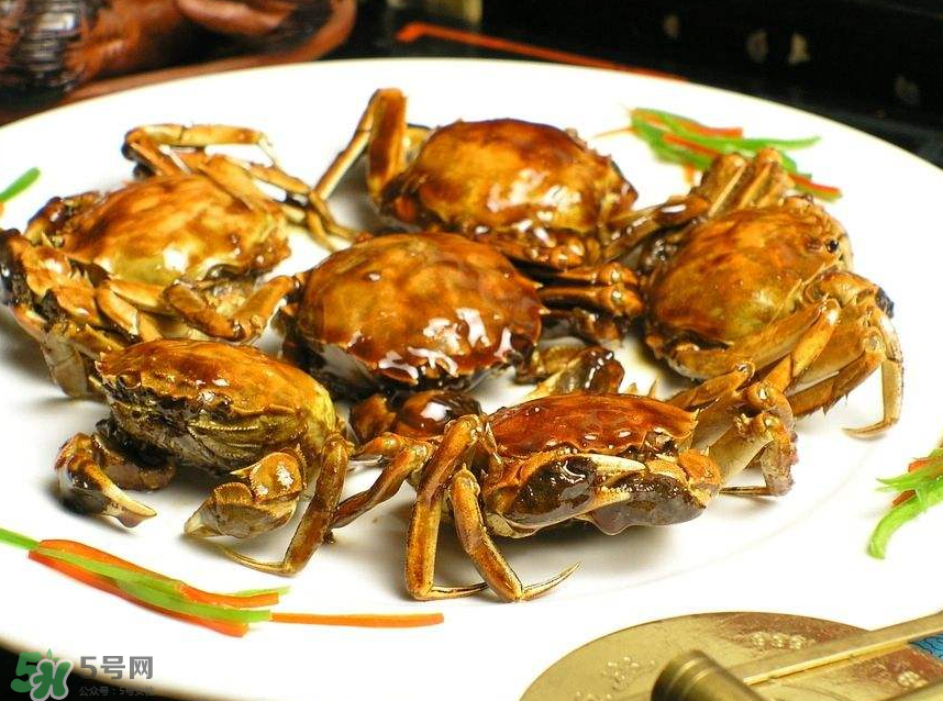 哪種螃蟹肉多？哪種螃蟹最好吃？