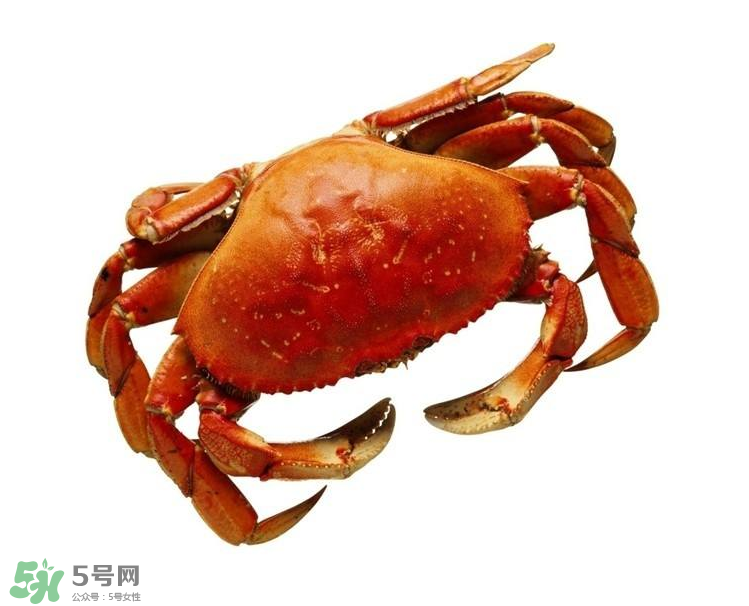 哪種螃蟹不能吃？什么樣的螃蟹不能吃？