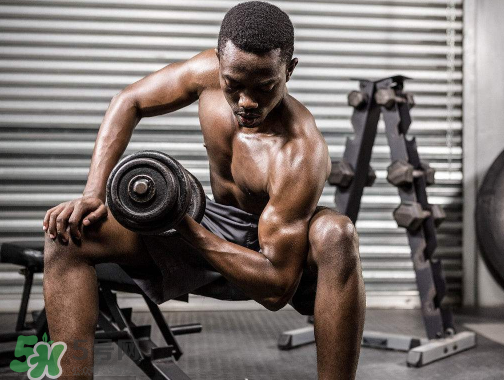 肌酸是什么東西？肌酸是興奮劑嗎？