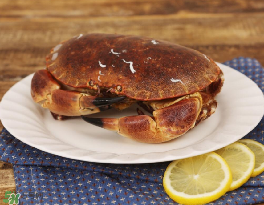 哪種螃蟹便宜？哪種螃蟹最貴？