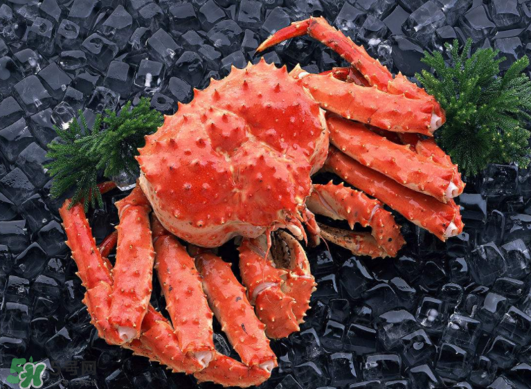 哪種螃蟹便宜？哪種螃蟹最貴？