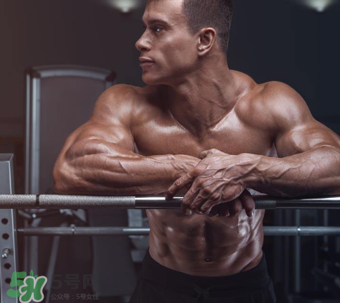 肌酸吃多久需要停用？肌酸吃多了會怎么樣？