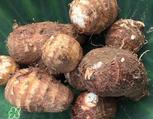 吃芋頭會(huì)放屁嗎_吃芋頭會(huì)屁多嗎 吃芋頭會(huì)放屁嗎_吃芋頭會(huì)屁多嗎