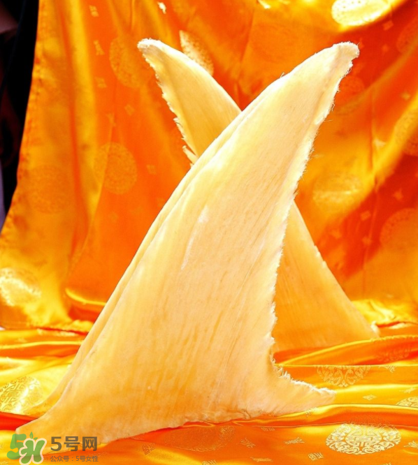 魚翅卡喉嚨了怎么辦？魚翅卡喉嚨的自救法