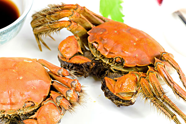 紅膏蟹多少錢一斤 紅膏蟹價(jià)格 紅膏蟹多少錢一斤 紅膏蟹價(jià)格