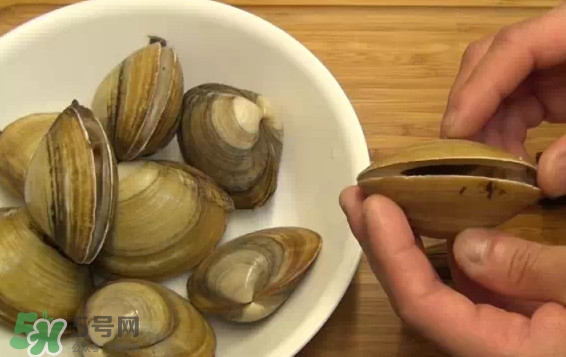 北極貝多少錢一斤？北極貝長什么樣子