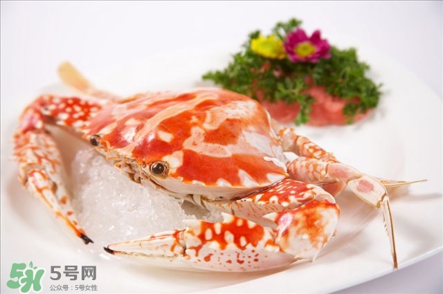 花蟹怎么殺 花蟹怎么殺哪些不能要 花蟹怎么殺 花蟹怎么殺哪些不能要