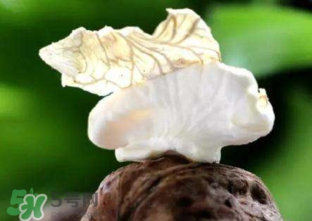 新鮮核桃要剝皮嗎？剝皮時手變黑怎么清洗？