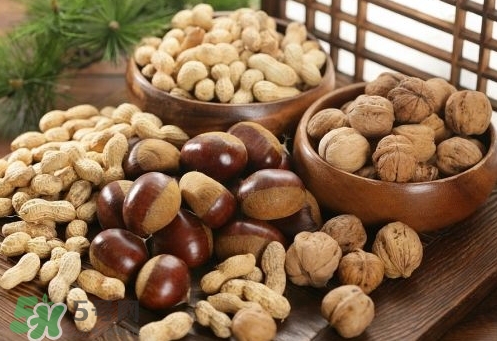 孕婦可以喝核桃粉嗎？孕婦喝核桃粉好嗎？